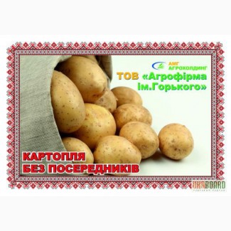 Картофель для посадки