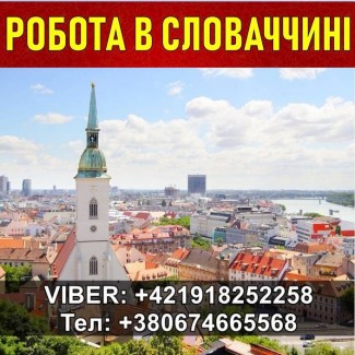 Словаччина, безкоштовна вакансія. Завод. Відкрито запис на Січень