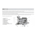 Инструкция по техническому ремонту ТНВД Motorpal размером M.i