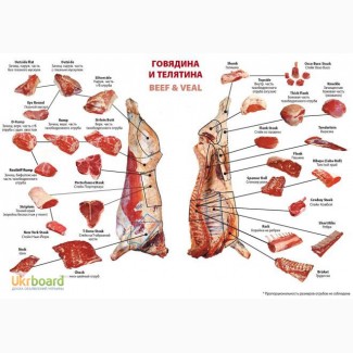 Куплю говядину в полутушах