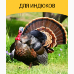 Продам комбикорм