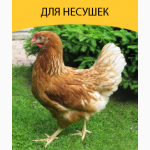 Продам комбикорм