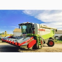 Жатка кукурузаня 2019 рік для Claas Lexion Италия