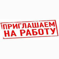 Администратор-переводчик английского в брачное агентство, оператор онлайн-чата