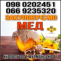 Закупаем мед. Выгодно. Круглый год. ОПТ-МЕД