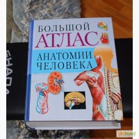 Большой атлас анатомии человека - Воробьев В.П