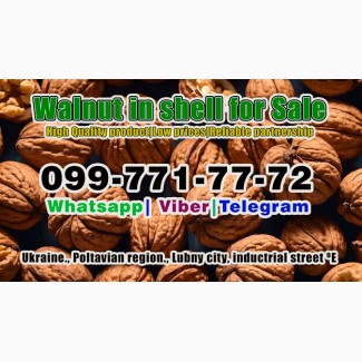 Walnut in shell for sale! Availible in any volume