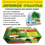 Киев.Домашняя гидропонная грядка Луковое Счастье, выращивание лука дома