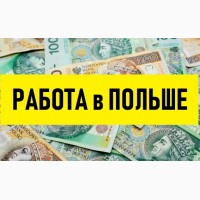 ТРУДОУСТРОЙСТВО в Польше. Свежие вакансии для мужчин