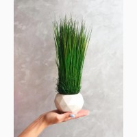 Гипсовое кашпо MiNature Moss со стабилизированой травой Фестука