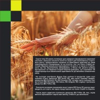 BG Flexadur 2S (пшениця тверда, дворучка) Durum Seeds