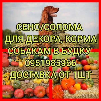 ДЕКОР, СОБАКАМ В ВОЛЬЕР сено солома в тюках мешках с доставкой от одной шт