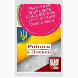 Карта поляка Візи та робота за кордоном