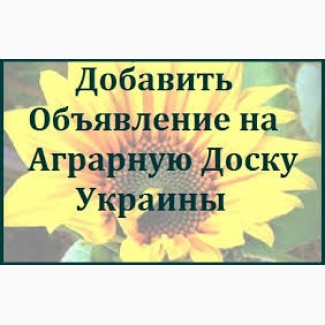 Размещение объявлений на АГРО досках НЕДОРОГО