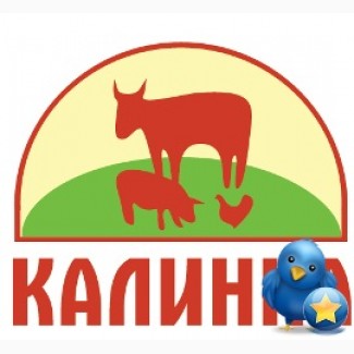 Комбикорм Калинка, БМВД Калинка