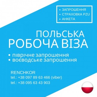 Візи до Польщі, Чехії, Страховки, візові анкети