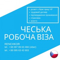 Візи до Польщі, Чехії, Страховки, візові анкети