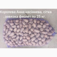 Продам товарну та насінневу картоплю Королева Анна, Голандія, Польша