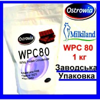 Протеїн WPC 80 Ostrowia | Сивороточний білок