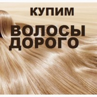 Продайте нам волосся у Дніпрі від 40 см ДОРОГО.Купуємо волосся до 125000 грн