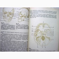 Анатомия человека Гладышевой 1977 для средних Школ спортивных Техникумов Тренеров ДЮСШ