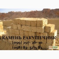 Камень ракушняк Синельниково, ракушечник - цена, купить, продажа с доставкой