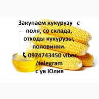 Закупаем кукурузу, пшеницу, ячмень, овес, рожь, тритикале