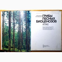 А. В. Цилюрик, С. В. Шевченнко. Атлас Грибы Лесных Биоценозов 