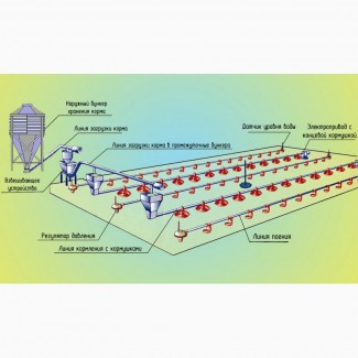 Обладнання для підлогового вирощування бройлерів ОПБ