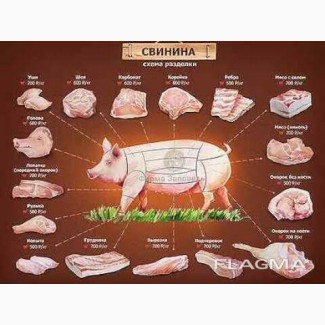 На постоянной основе закупает замороженную свиную разделку: Задок, лопату, вырезку, ошеек
