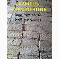 Купить камень ракушечник в Днепродзержинске, купить ракушечник, ракушечник цена