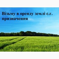 Візьму в оренду землі с.г. призначення