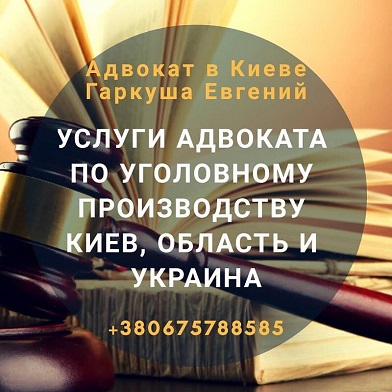 Фото 3. Кримінальний адвокат Київ. Послуги кримінального адвоката в Києві