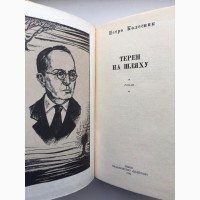 Петро Колесник. Терен на шляху. Історичний роман про Івана Франка