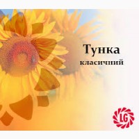 Пропоную гібрид соняшнику Тунка