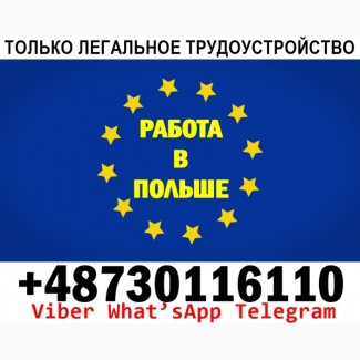 Новые вакансии в Польше для мужчин и женщин. Официально