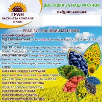 Продамо якісне насіння соняшнику