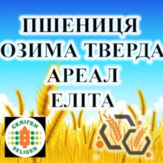 Насіння озимої ТВЕРДОЇ пшениці АРЕАЛ еліта СГІ