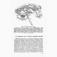 Устройство и технология сборки часов. Попова В.Д., Гольдберг Н.Б
