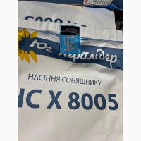 Насіння соняшника гібрид НС Х 8005