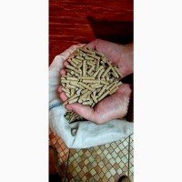 КУПУЄМО висівку пшеничну по ВСІЙ Україні
