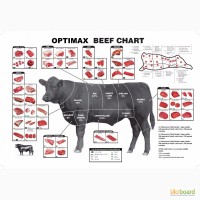 Продам говядину блочную на экспорт частями или по сортам