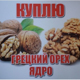 Грецкий орех