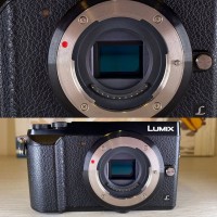 Panasonic Lumix DMC-GX80 + 14-42 мм, 45-100 мм