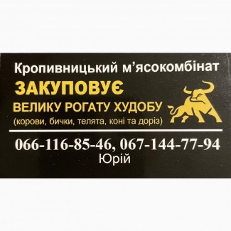 Закуповуємо ВРХ