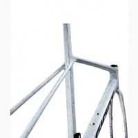 2025 Giant TCR Advanced SL Frameset (ALANBIKESHOP)