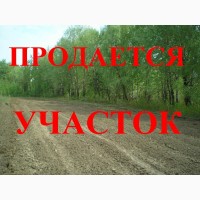 Продам земельный участок в Дальнике