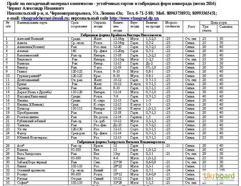 Прайс лист саженцев. Каталог винограда. Каталог винограда на 2021 год. Прейскурант на саженцы. Прейскурант на саженцы 2021.