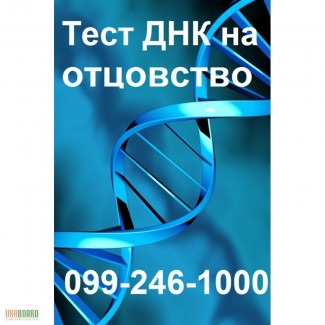 Аналіз ДНК-тест на батьківство в Хмельницькому