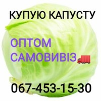 Куплю капусту самовывоз